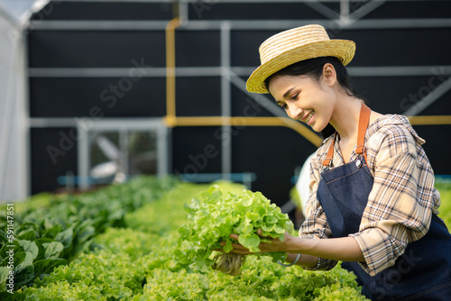 woman in the hydroponic vegetable farm grows wholesale hydroponic vegetables in restaurants and supermarkets, organic vegetables. new generations growing vegetables in hydroponics concept