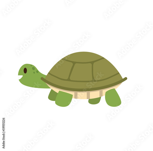 Concept Hawaii beach turtle. The illustration depicts a flat and cartoon-style image of a turtle on a white background with a concept of Hawaii beach. Vector illustration.