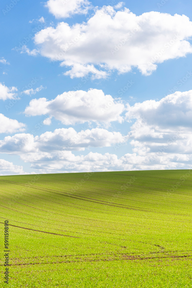 Green field and blue sky with clouds