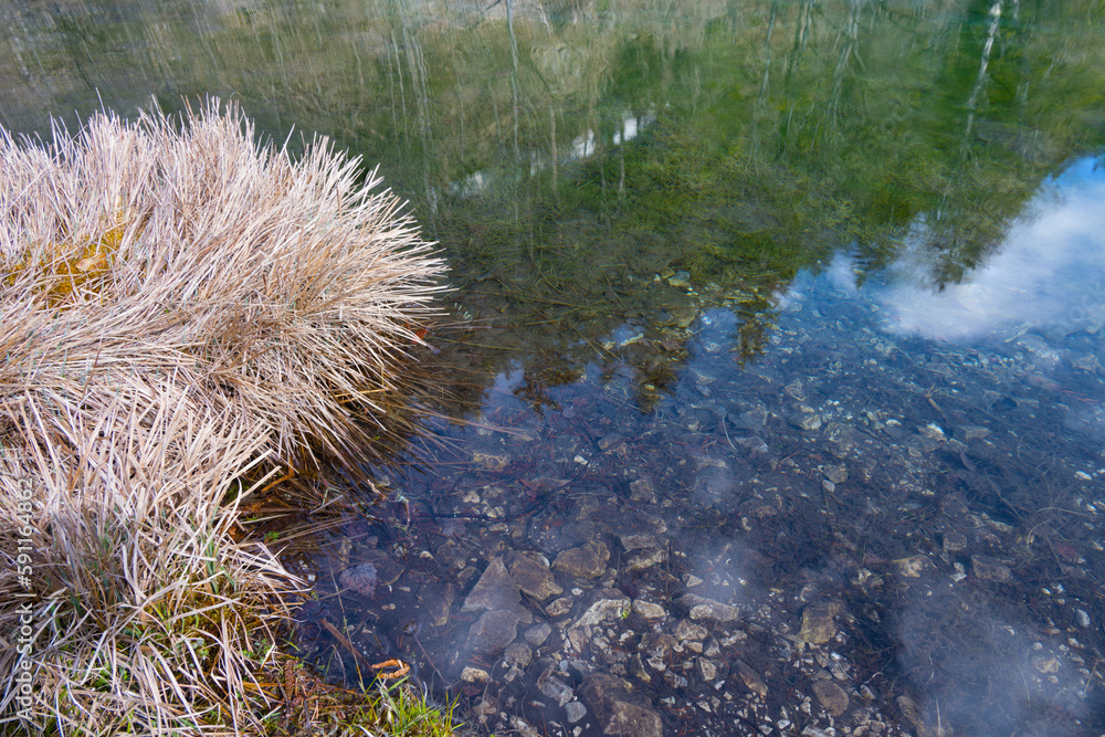 mountain lake grass reflecting water surface relaxation mountain lake grass reflecting water surface relaxation