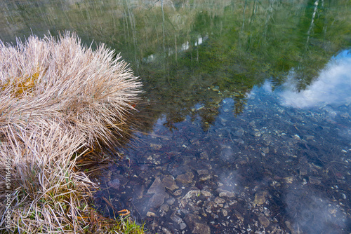 mountain lake grass reflecting water surface relaxation