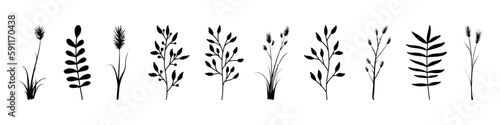 Black floral branch silhouette collection. Herbal branch design element