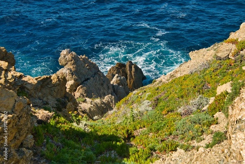 Wunderschöne Ile de Porquerolles in Südfrankreich photo