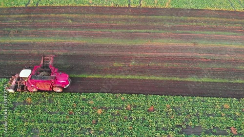 Beet harvesting drone footage