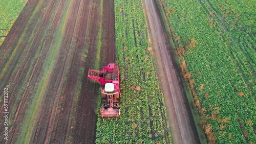 Beet harvesting drone footage agriculture in Ukraine