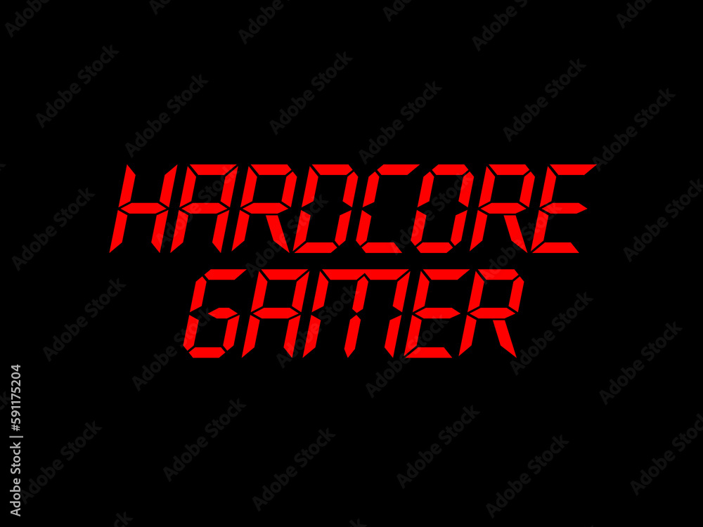 Hardcore gamer