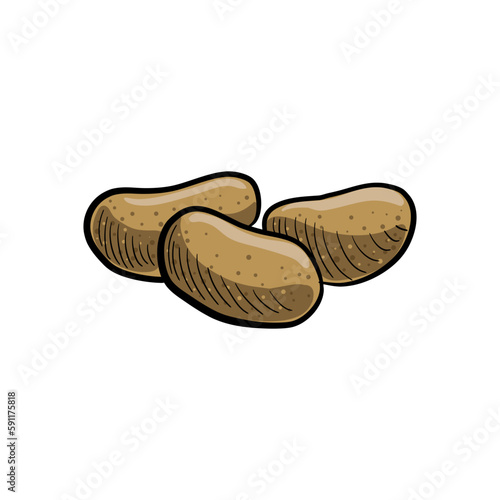vector drawing potatoes, vegetable isolated at white background, hand drawn illustration