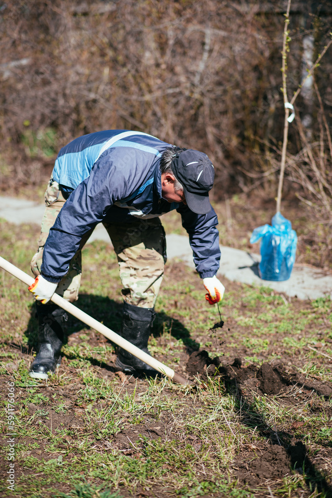 A man is planting a young tree. The farmer is digging the ground with a shovel for a small seedling. The concept of protection of the environment and ecology A man is planting a young tree. The farmer is digging the ground with a shovel for a small seedling. The concept of protection of the environment and ecology