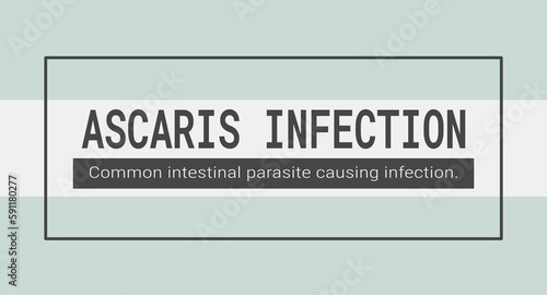 Ascaris Infection: An intestinal infection caused by a roundworm parasite.