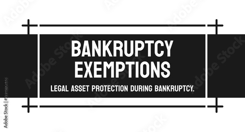 Bankruptcy Exemptions - Assets protected from seizure during bankruptcy proceedings
