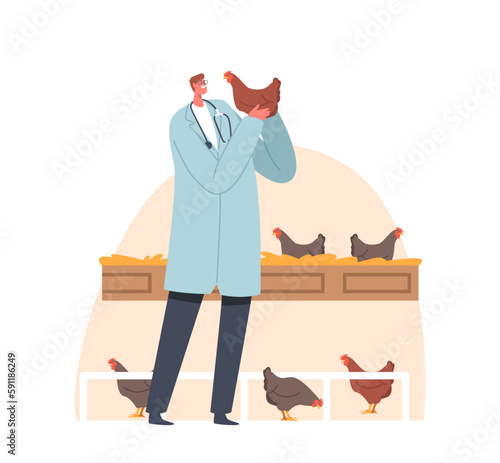 Veterinary Doctor Character Examining And Caring For Chicken On Livestock. Animal Welfare, Agriculture And Veterinary