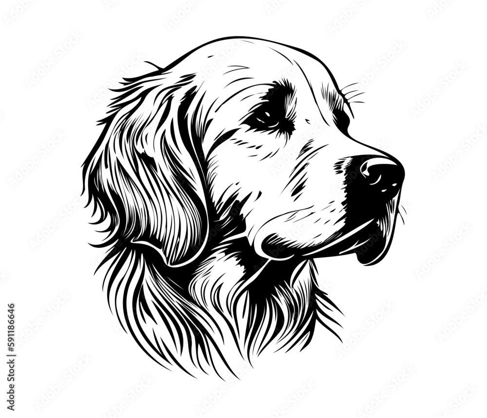 Golden Retriever, Silhouettes Dog Face SVG, black and white Golden