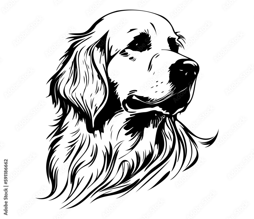 Golden Retriever, Silhouettes Dog Face SVG, black and white Golden ...