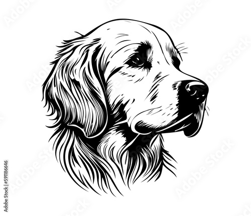 Golden Retriever, Silhouettes Dog Face SVG, black and white Golden Retriever vector