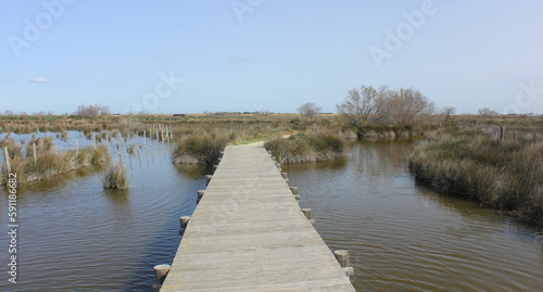 petit pont pour passer les marais © helenedevun