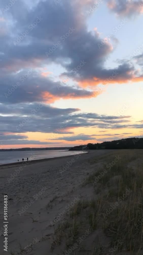 Vertical shot of a sandy beach against the sea at cloudy sunset Vertical shot of a sandy beach against the sea at cloudy sunset