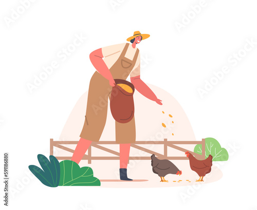 Woman Character Feeding Chickens In Rural Farm Setting. Care of Farm Birds, Sustainable Farming, Animal Welfare