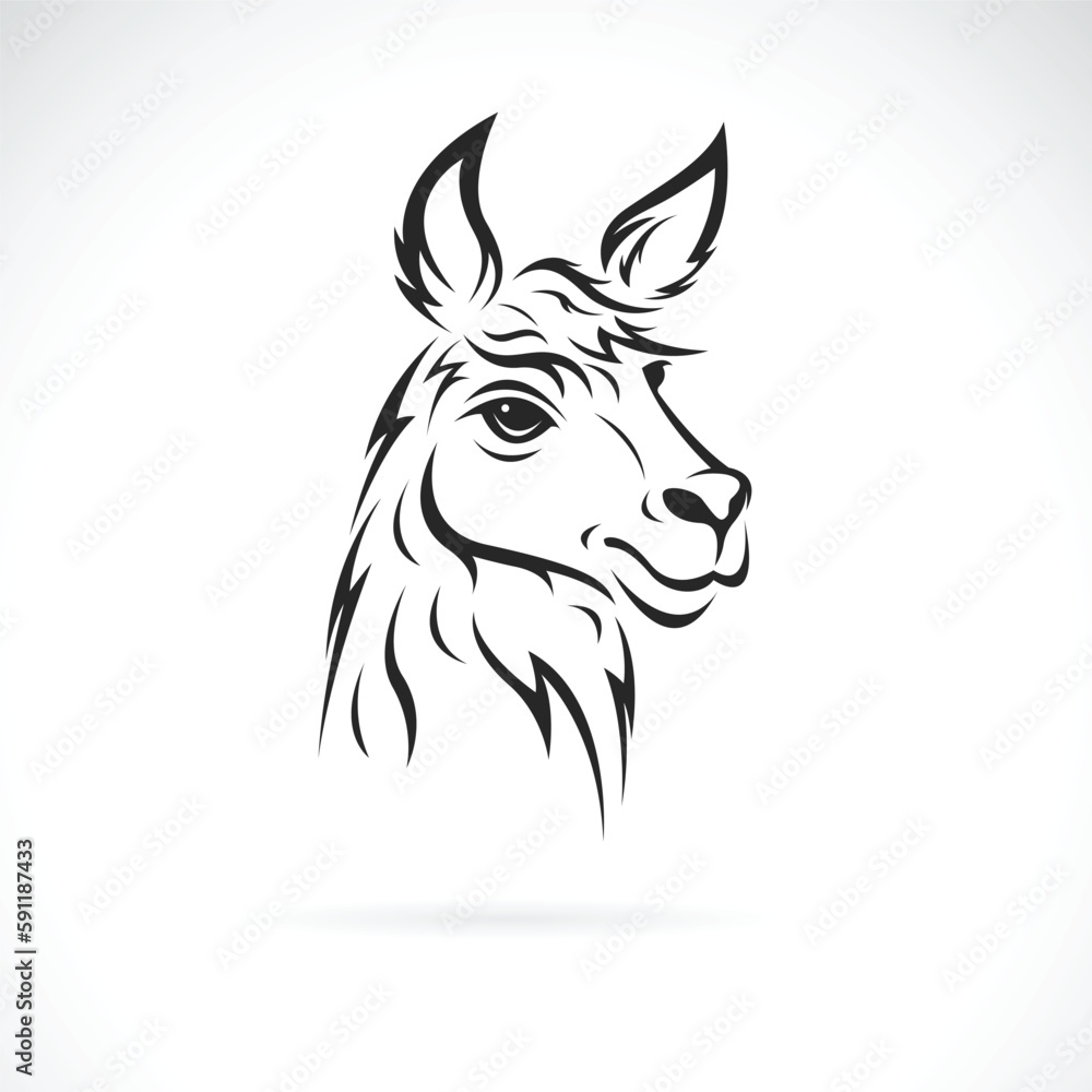 Vector of a llama head design on white background. Easy editable layered vector illustration. Wild Animals.