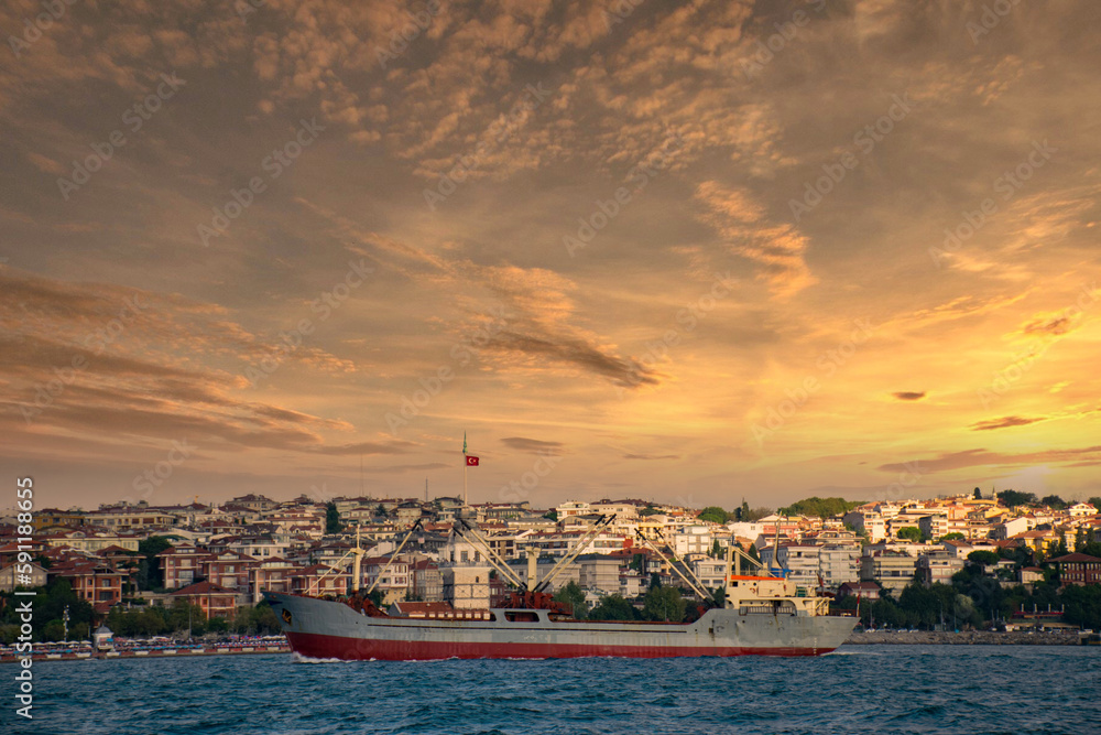 The view of the Maiden's Tower and the cargo ship passing through the Bosphorus.