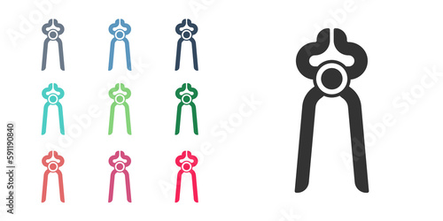 Black Blacksmith pliers tool icon isolated on white background. Set icons colorful. Vector