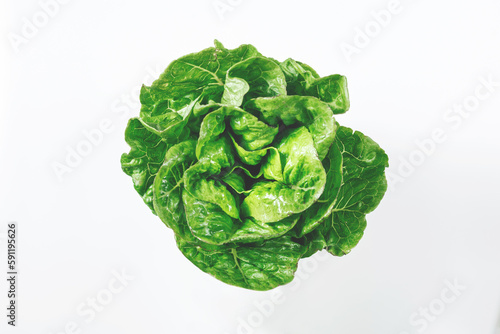 Large lettuce leaves top view. Stylish banner of natural vegetables on a white background