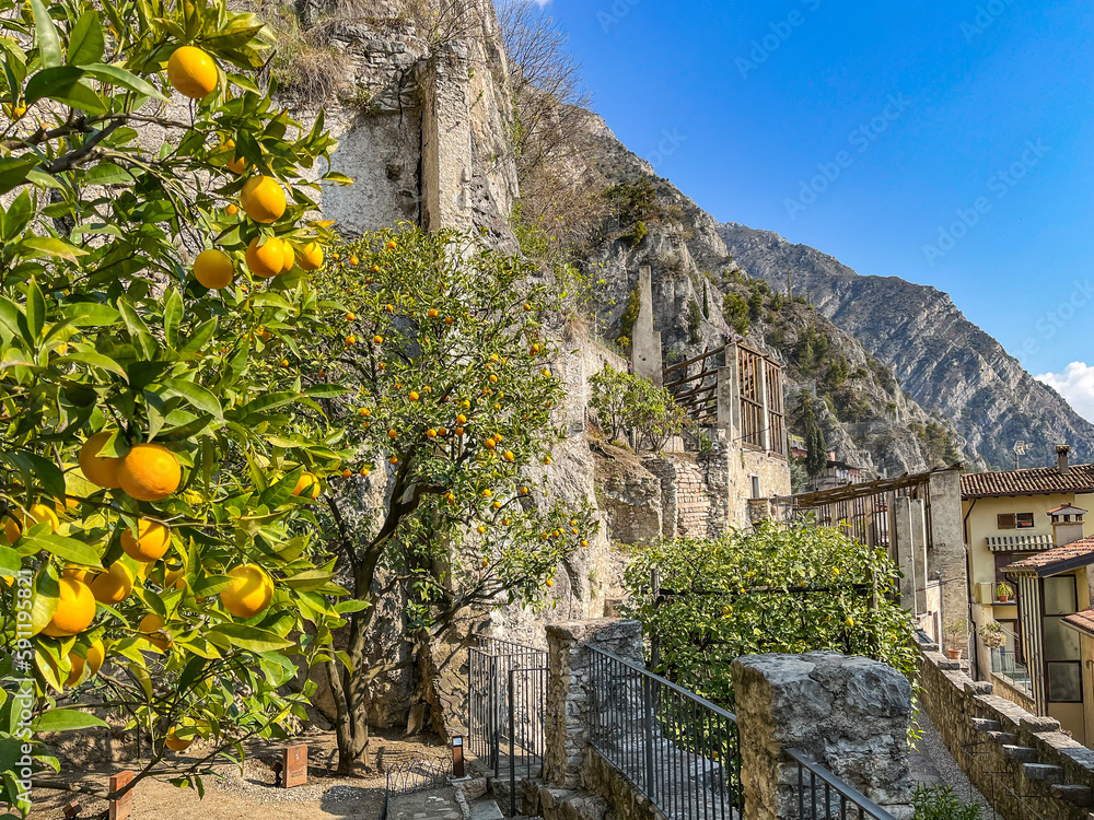 Limonaia del Castél - Limone am Gardasee