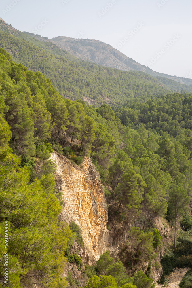 Pine Tree and Peaks in Aixorta Mountain Range; Guadalest; Alicante; Spain