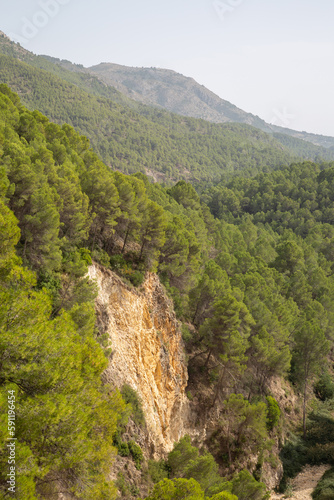 Obraz na płótnie Pine Tree and Peaks in Aixorta Mountain Range; Guadalest; Alicante; Spain w salonie