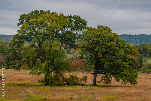 Autumn Colors at Valley Forge, Pennsylvania USA, Valley Forge, Pennsylvania