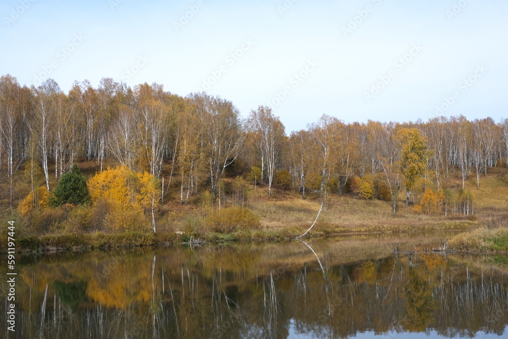 Autumn landscape in the birch forest near the lake Autumn landscape in the birch forest near the lake