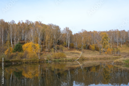 Autumn landscape in the birch forest near the lake