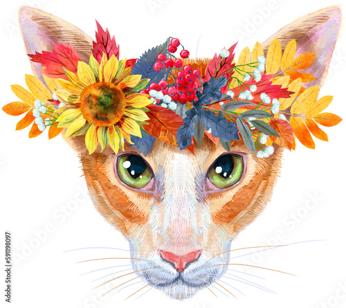 Fototapeta Naklejka Na Ścianę i Meble -  Cute oriental cat in a wreath of autumn leaves. Cat for t-shirt graphics. Watercolor Somali cat breed illustration
