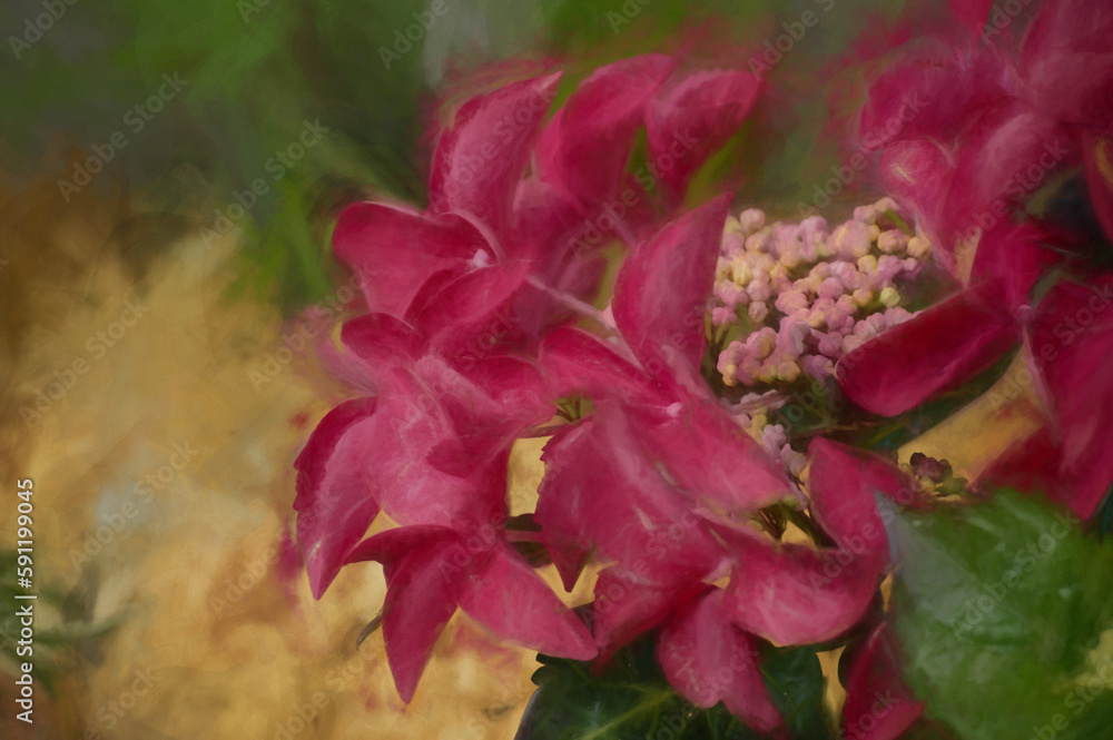 Digital painting of pink and red hydrangea buds and petals, in a garden, using a shallow depth of field.