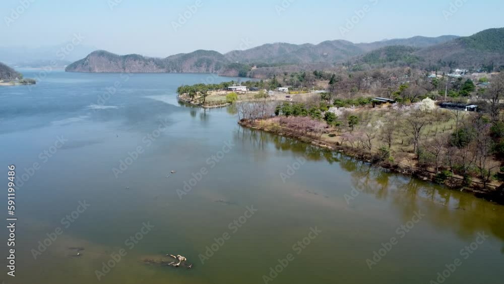 Spring in Korea called migratory birds and cherry blossoms. Spring in Korea called migratory birds and cherry blossoms.