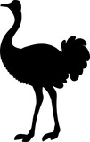 ostrich emu vector silhouette black one