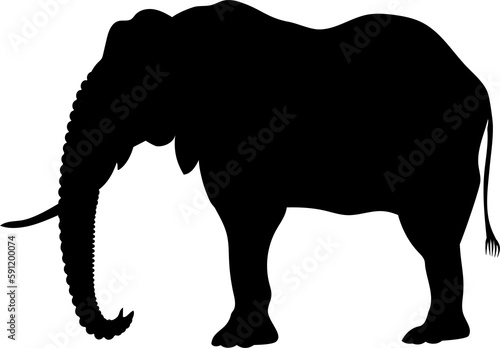 elephant side vector silhouette black one