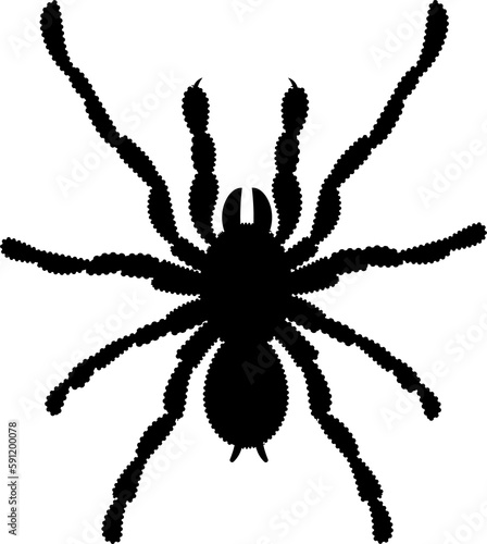 spider vector silhouette black one