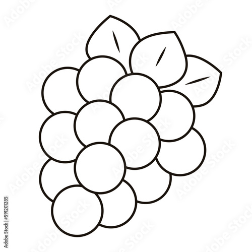 Raspberry icon
