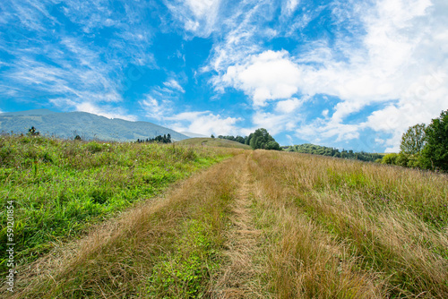 a glade with a coniferous forest on the background of mountains  the sky is blue with clouds.