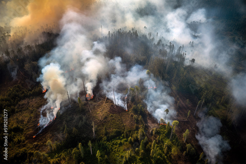 Rain Forest burning  Climate Change consequences  Environment protection  AI generated