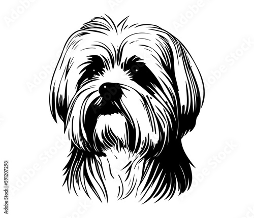Maltese, Silhouettes Dog Face SVG, black and white Maltese vector