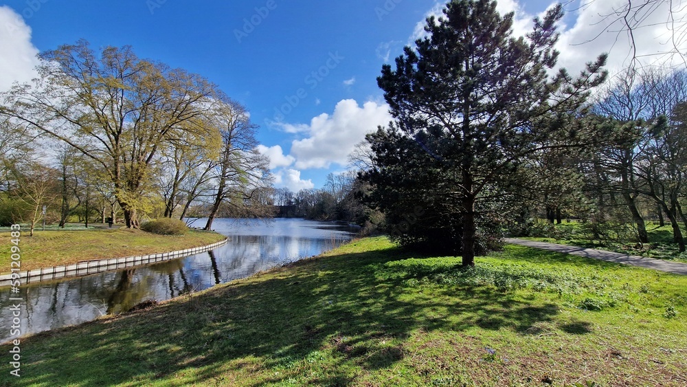 Landscape with lake and trees in a park in spring, Netherlands.