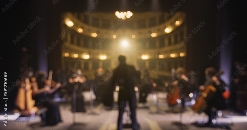 Unfocused Photo for Background Usage Back View of Professional