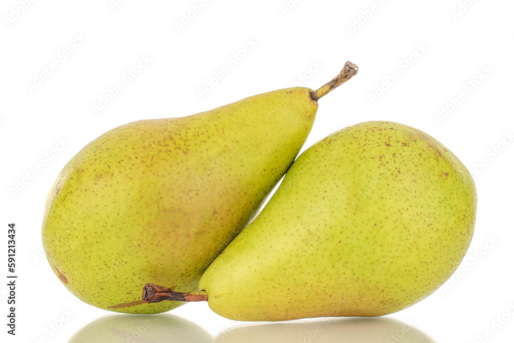 Two whole sweet juicy pears, close-up, on a white background. Two whole sweet juicy pears, close-up, on a white background.