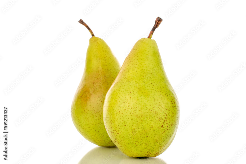 Two whole sweet juicy pears, close-up, on a white background. Two whole sweet juicy pears, close-up, on a white background.