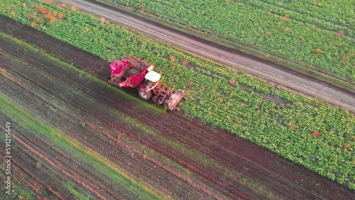 Beet harvesting drone footage