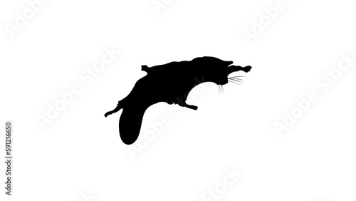 Flying squirrel silhouette