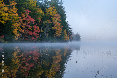 Reflections in the lake