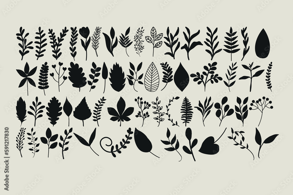 Simple foliage clipart set including various leaf illustrations Stock ...