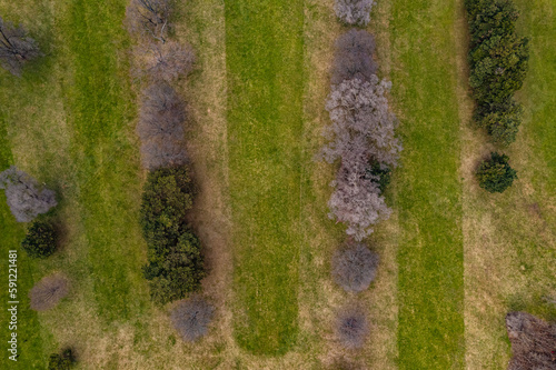 drone shot of the field